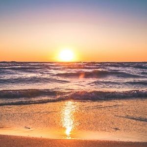 Meet your Posher, Abbie